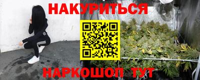 гашик Гусев