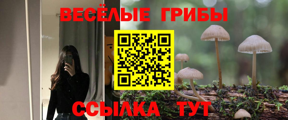 Псилоцибиновые грибы MAGIC MUSHROOMS  Вход с VPN  Наро-Фоминск 
